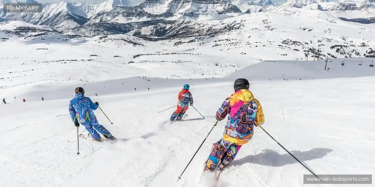 💼 数据直接导出报告,省时省力